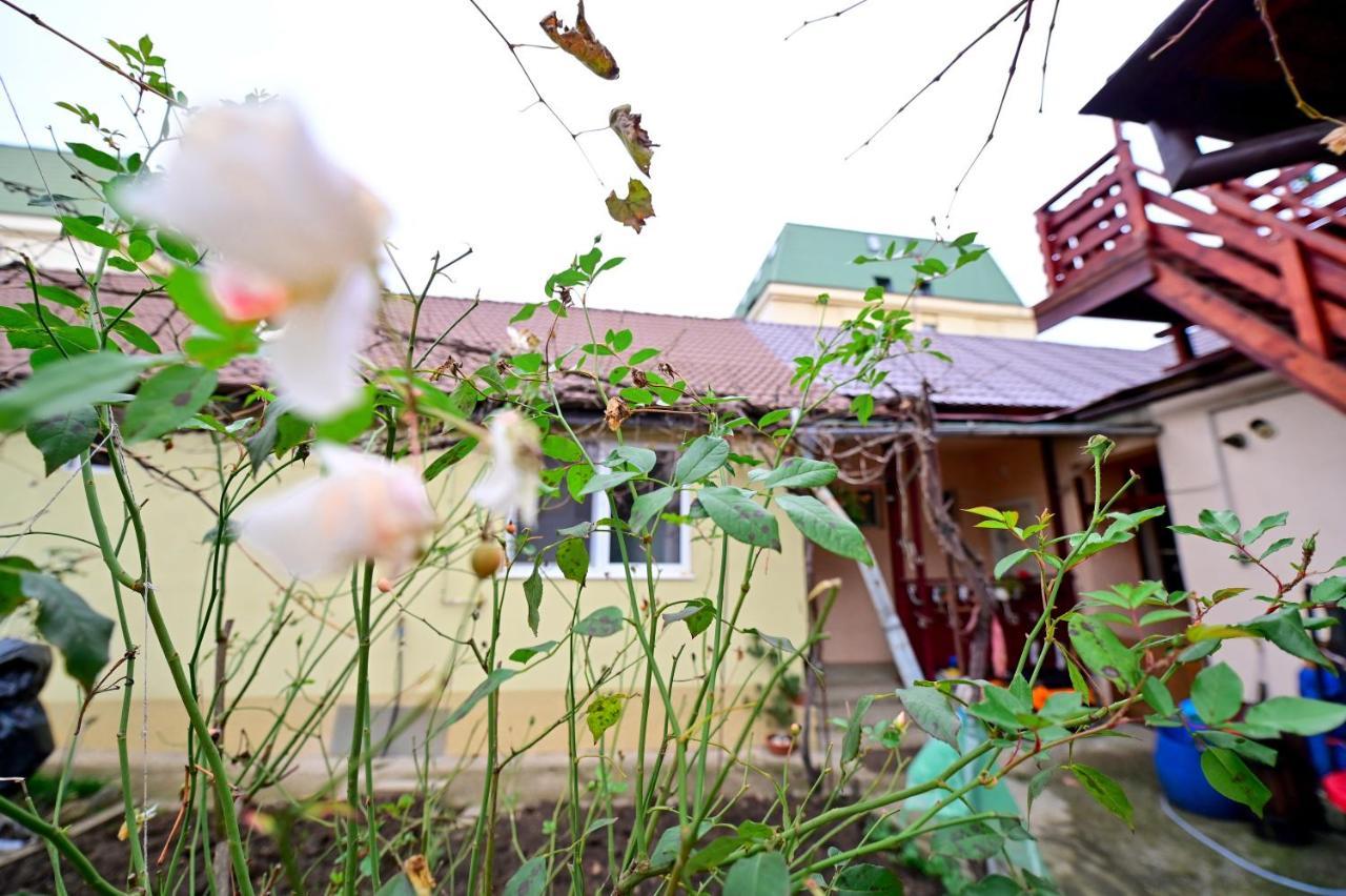 Flh - Kaly'S Place Сибиу Экстерьер фото
